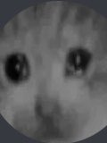 Gamergodcat2233's tweet photo. I remembered one time my mom told me a story on how i used to have two dolls when we used to live at a cabin &amp; that she woke up &amp; walked down da stairs to see them chatting but she turned them off before bed &amp; they had no batterys-i laughed after she told me she put them in trash https://t.co/MS7GNlE69E