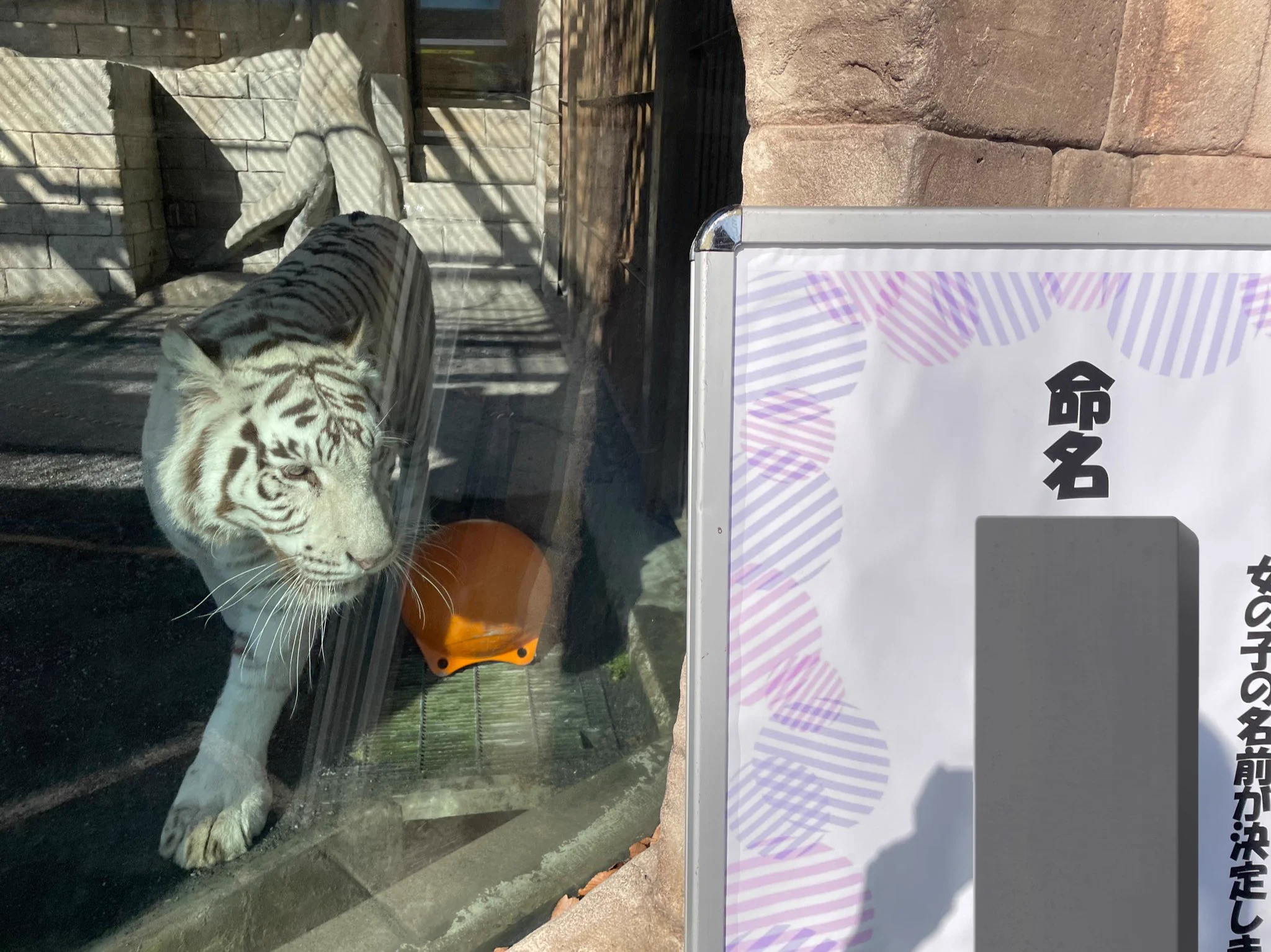 東武動物公園【公式】リュウくん on X: 