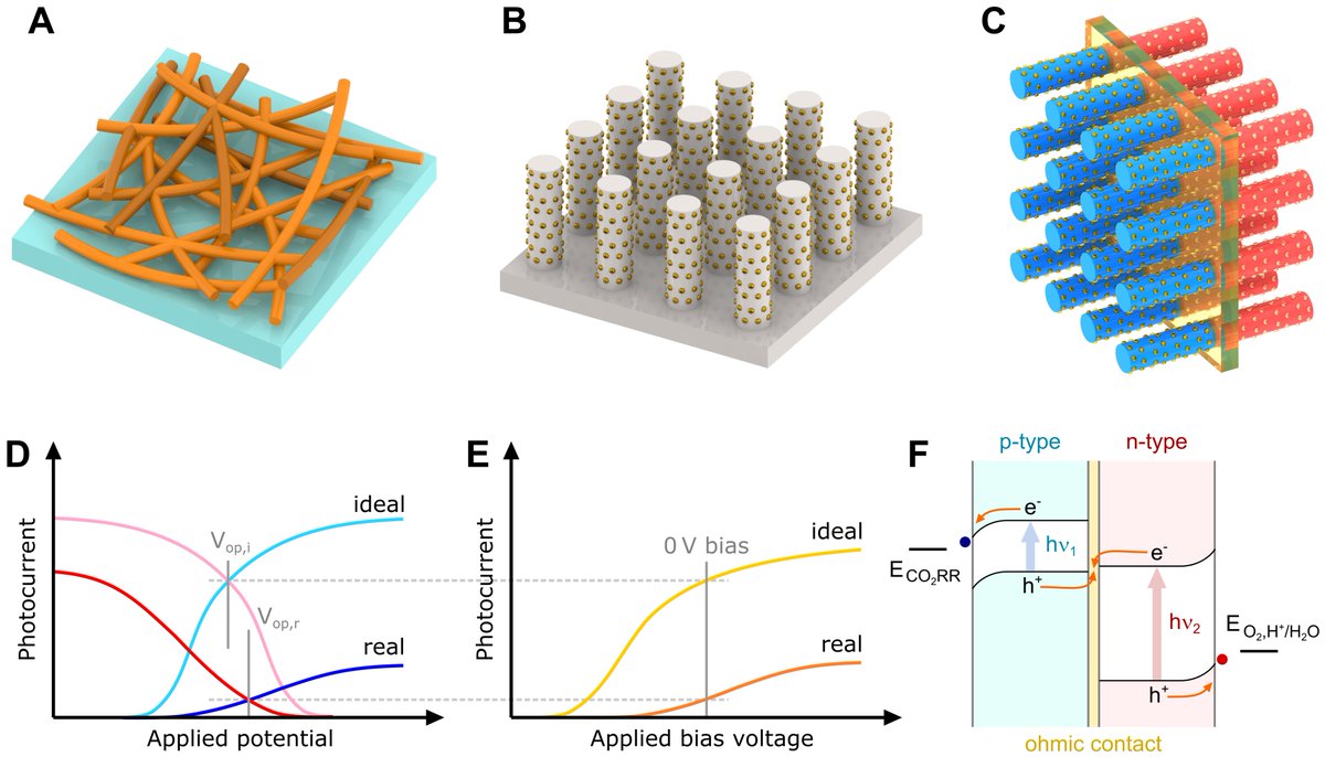Virgil Andrei (@virgil__andrei) on Twitter photo First paper from <a href="/yanggroupucb/">Yang Group - UC Berkeley</a> is out in <a href="/ScienceAdvances/">Science Advances</a>! 🥳 A pleasure to write this in-depth discussion with Inwhan, and great opportunity to learn more about #nanowire #artificial #photosynthesis!
<a href="/UCB_Chemistry/">College of Chemistry</a> <a href="/UCBerkeley/">UC Berkeley</a> <a href="/KavliENSI/">Kavli Energy NanoScience Institute (ENSI)</a> <a href="/BerkeleyLab/">Berkeley Lab</a>
science.org/doi/10.1126/sc… First paper from <a href="/yanggroupucb/">Yang Group - UC Berkeley</a> is out in <a href="/ScienceAdvances/">Science Advances</a>! 🥳 A pleasure to write this in-depth discussion with Inwhan, and great opportunity to learn more about #nanowire #artificial #photosynthesis!
<a href="/UCB_Chemistry/">College of Chemistry</a> <a href="/UCBerkeley/">UC Berkeley</a> <a href="/KavliENSI/">Kavli Energy NanoScience Institute (ENSI)</a> <a href="/BerkeleyLab/">Berkeley Lab</a>
science.org/doi/10.1126/sc…
