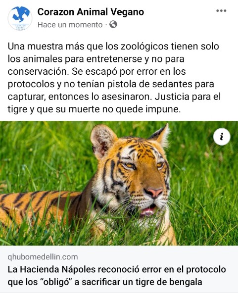 Víctimas del especismo, solo los usan para ganar dinero y no para la conservación, no tenían la pistola de sedación importante para el manejo de fauna silvestre y un elemento obligatorio. Lo asesinaron <a href="/FiscaliaCol/">Fiscalía Colombia</a>