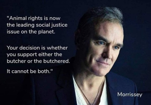 Vegan Future tweet media