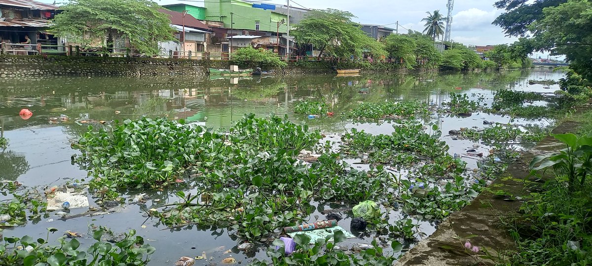 Mungkin bisa diminimalisir sampah² yang diKanal khususnya Kanal Pampang, kami berharap pemerintah kota bisa pedul