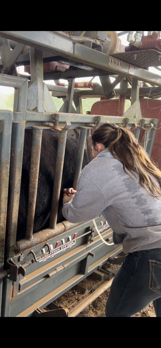 Emma Day tweet media