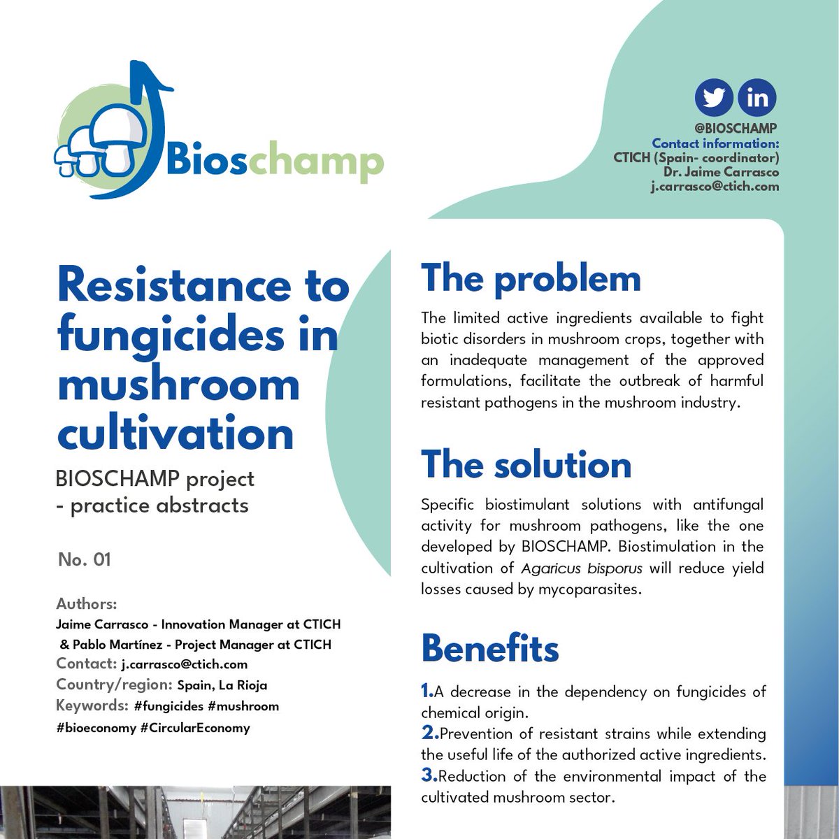 innovarum_'s tweet image. Are you a #PrimaryProducer in the #MushroomIndustry? Download here the first 6 #PracticeAbstracts of the @BIOSCHAMP! 👉bit.ly/3yaTEp5

📌Proven good practices and effective methods to fight and control #MushroomDiseases @ASOCHAMPRIOJA 

#CobWeb #Drububble