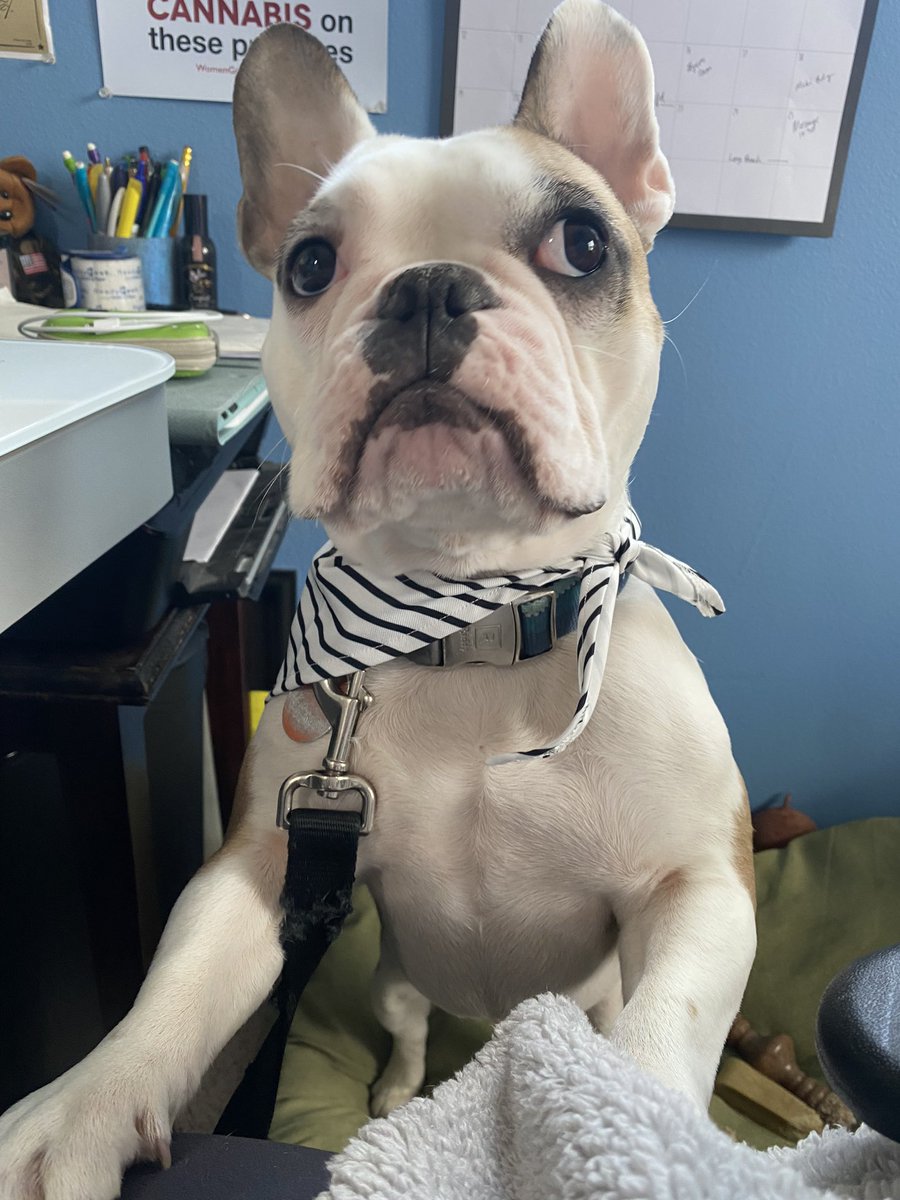 AshHeddy's tweet image. Why’s he so cute?!