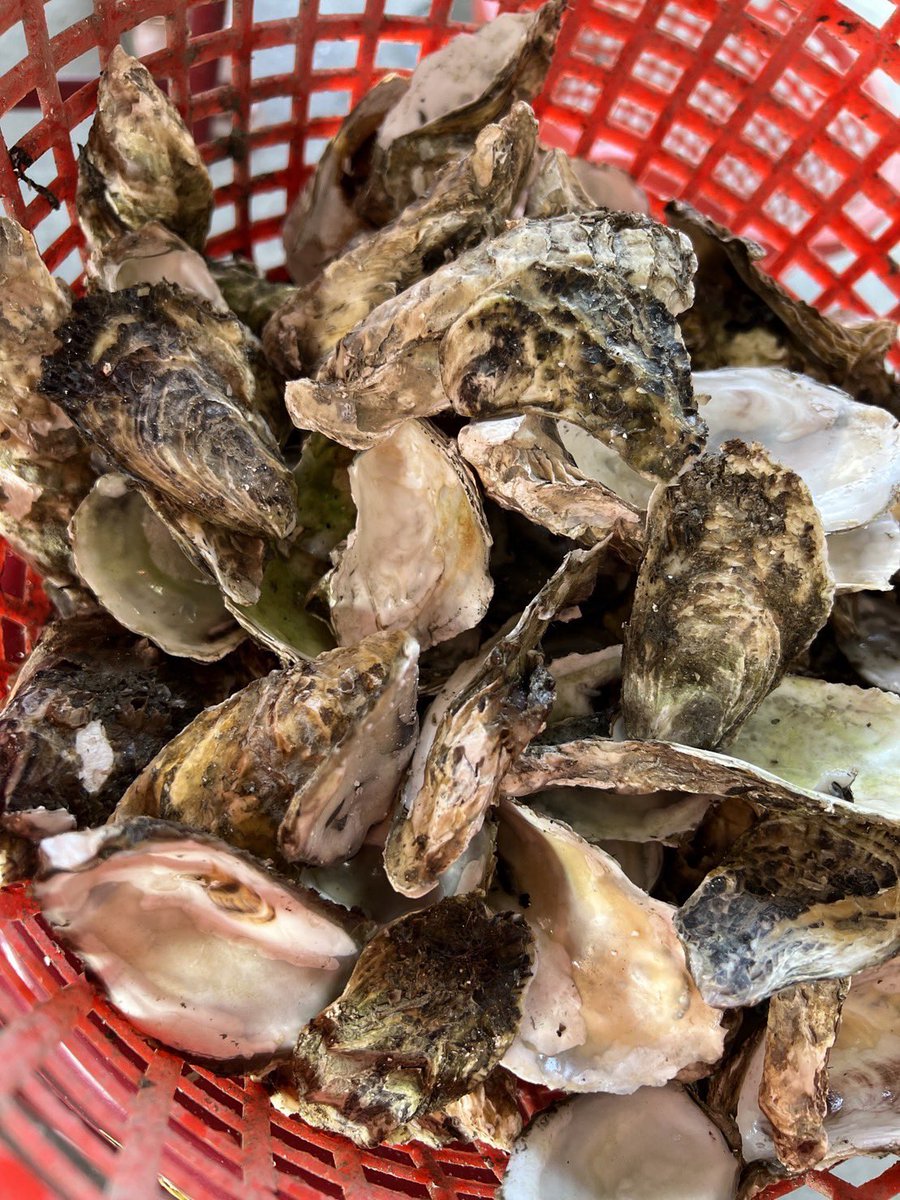 今天跟<a href="/13TeukHea/">ℚ &𝓓❤️南部夫妻 ⚤</a> 來補一下
滿滿兩籠
晚上可以大戰了呀❤️

#台南情侶 
#從兩個人無聊變四個人無聊的人生
#有沒有人想一起認識呀