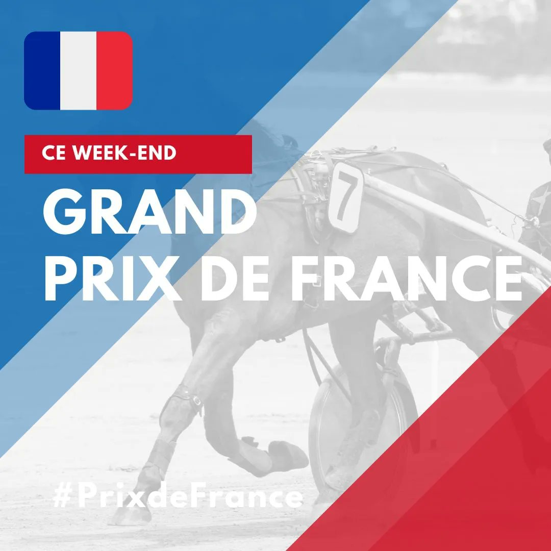 studioturf's tweet image. Au #programme de ce week-end: le #GrandPrixdeFrance! 
Direction l'@hippodromevincennes pour cet évènement!
Dimanche sera encore une belle journée de #trot!