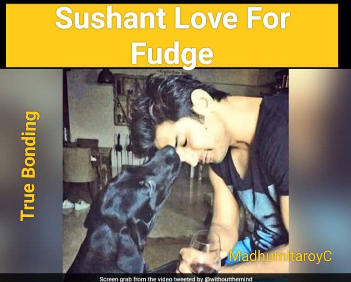 Sushant Love For Fudge

Hope Fudge has United with Sushant and happy together 
Why Sushant's beautiful life was ruined? <a href="/PMOIndia/">PMO India</a> <a href="/HMOIndia/">गृहमंत्री कार्यालय, HMO India</a> <a href="/rashtrapatibhvn/">President of India</a> <a href="/NiteshNRane/">Nitesh Rane</a> <a href="/BJP4India/">BJP</a> <a href="/pradip103/">Pradeep Bhandari(प्रदीप भंडारी)🇮🇳</a>
