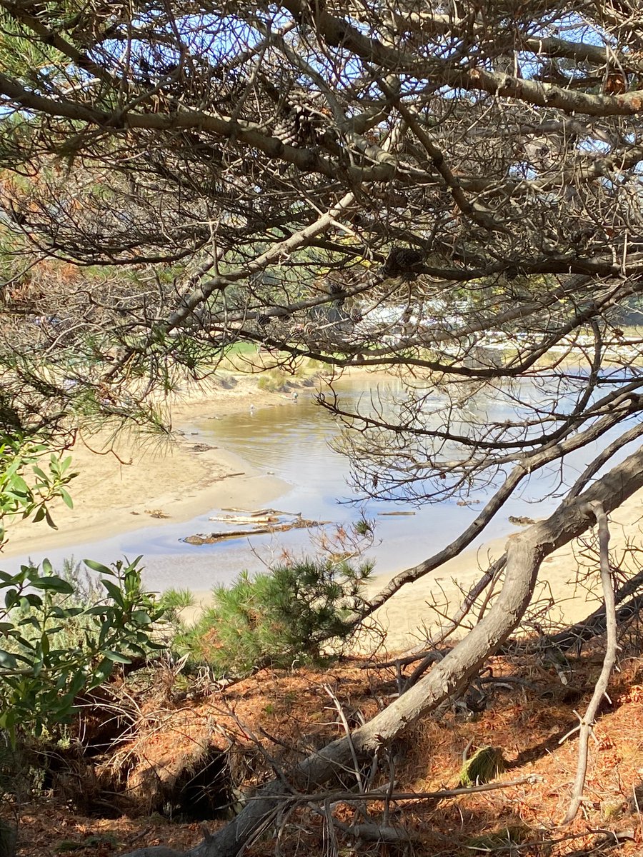 Perfect weekend in #LoveLorne - even the cruise ships have now found this beauty in Louttit Bay !