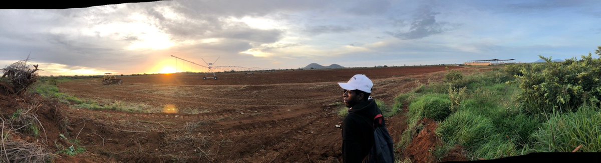 Fazenda Chaungo... um combate feroz de conquista às espinheiras de mato duro para instalar uma das mais belas fazendas do <a href="/yoba_ao/">Jardins da Yoba</a>. Grande orgulho de volvidos 5 anos de árduo trabalho, conseguirmos hoje blocos de multiplicação se semente de excelência em 100 hectares sob pivô.