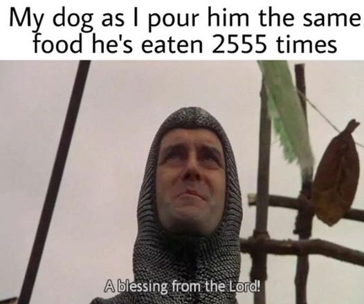 WholesomeMemes tweet media