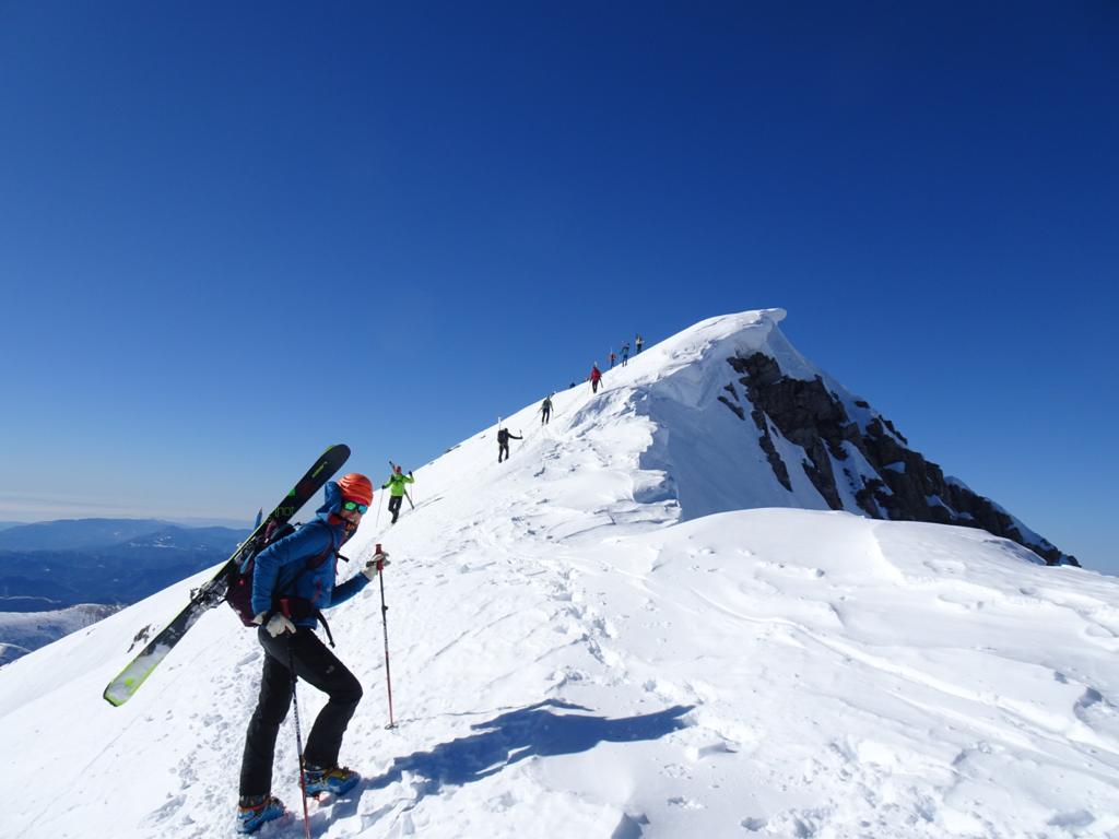 GEAM Reus tweet media