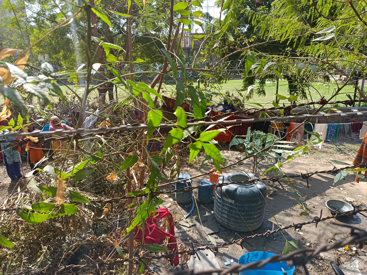 LodhJewel's tweet photo. Again full encroachment by noida authority horticulture contractor.Cutting all trees of green area near princely estate S tower boundary wall front of masjid.They are saying Noida authority permitted. @noida_authority @noidapolice@dmgbnagar @rituias2003 @myogiadityanath@CeoNoida https://t.co/sIwKb80G3E