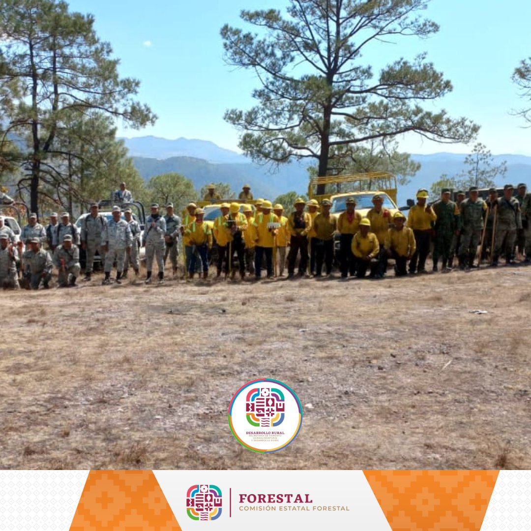 COESFO_GobOax's tweet photo. Después de 5 días de trabajo, derivado del esfuerzo y dedicación en las labores de combate y control, personal de la #COESFO, @CONAFOR en coordinación con @SEDENAmx y @GN_MEXICO_; el día de hoy dan por #Liquidado el #IncendioForestal suscitado.. https://t.co/bYPqLOpeLC