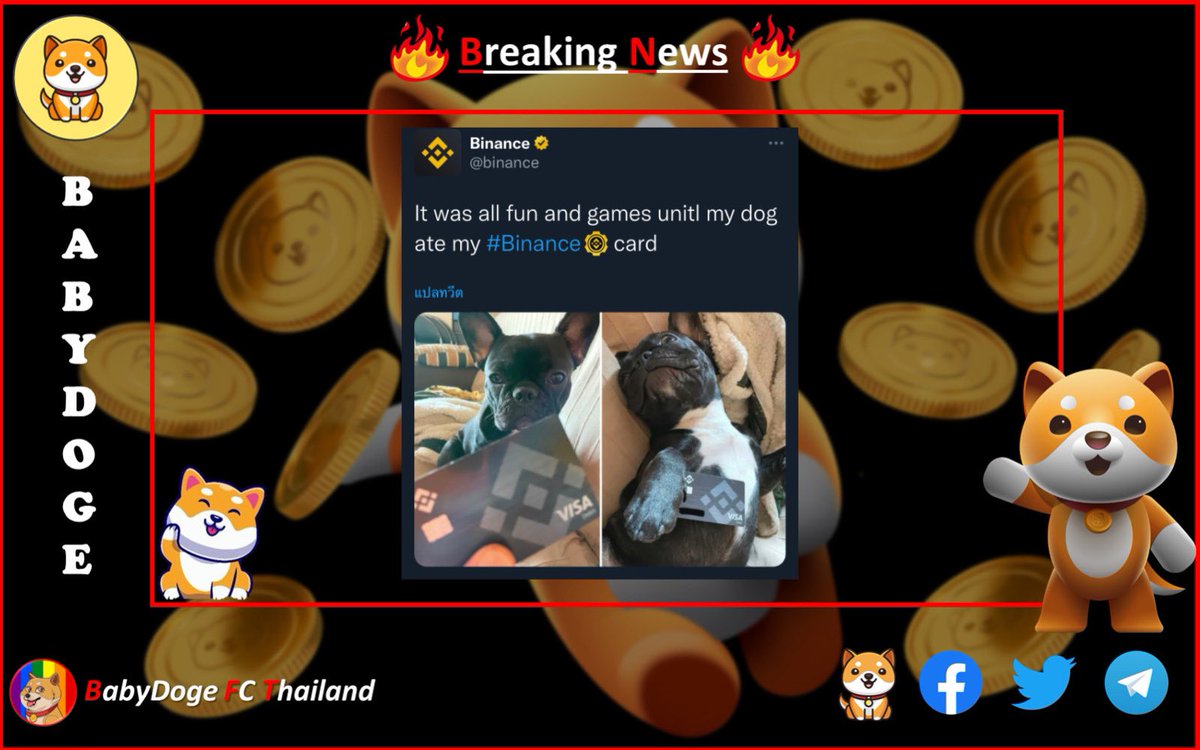 babydogefcTH's tweet photo. 🔥Breaking News🔥
BabyDoge เป็นกระแสเมื่อไหร่ Binance จะทวิตรูปหมาเมื่อนั้น หรือว่าเร็วๆนี้ กาวกันหน่อยยย
#BabyDogeCoin #BabyDoge #BabyDogeNFTs #BabyDogeFCThailand #BabyDogeArmy #BabyDogeFamily https://t.co/Nl8hUkdebV