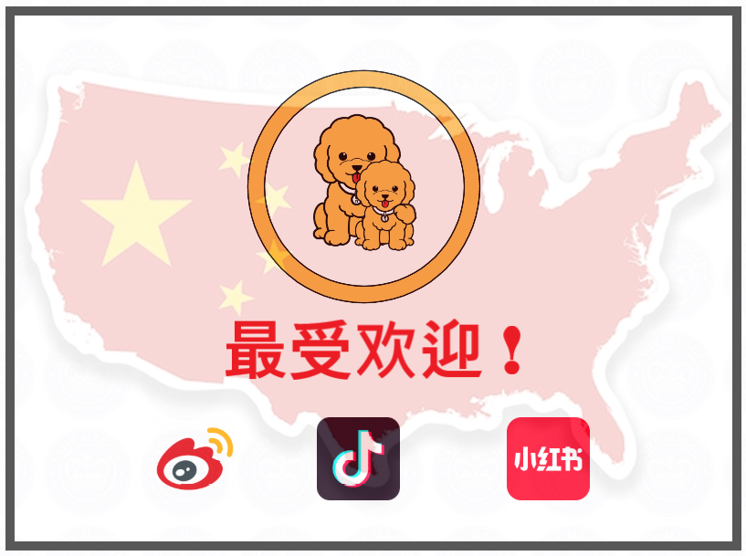Pi_INU_Token's tweet photo. "Pi INU, let's become the best meme in China" event

Comment (or POST) the following phrase on one of weibo, douyin, or xiaohongshu, and submit the captured image by replying to this tweet, 5,000,000 PINU will be given

Presented to more than 100 people / Continued until the end https://t.co/mc1PXTa4Jb