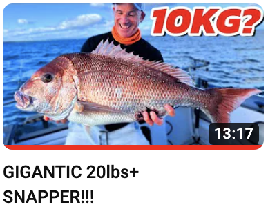 10 KG SNAPPER? New Videos out! Love Ya's ALL - mailchi.mp/reeltimefishin…
