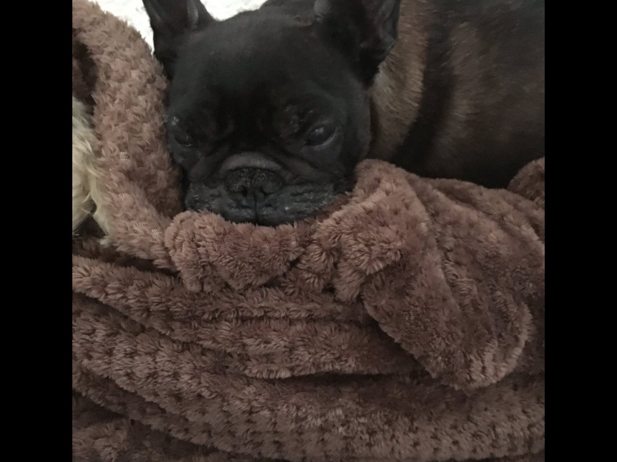 weather witch tweet media