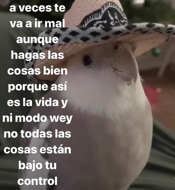 Nasty Poet (@nxstypxet) on Twitter photo 