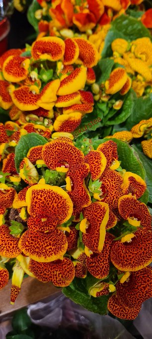 #photo https://t.co/ZdFfqkSfNg<a href="/tag/photo"class="tags">#photo</a>