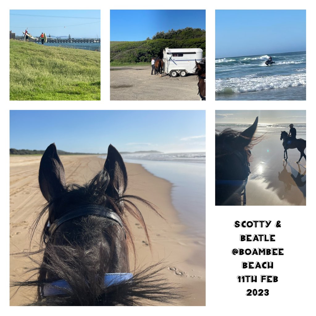 KildareEmma's tweet photo. It’s a hard life but a great way to greet a Sunday morning 😘 #boambeebeach #coffscoast #thoroughbreds #coffsracing #horseracing #thoroughbredracing #kickupforracing #horses #horselove #dawn #sunrise #prydesperformance #etrakka #getheedge https://t.co/yb6aakQcoT