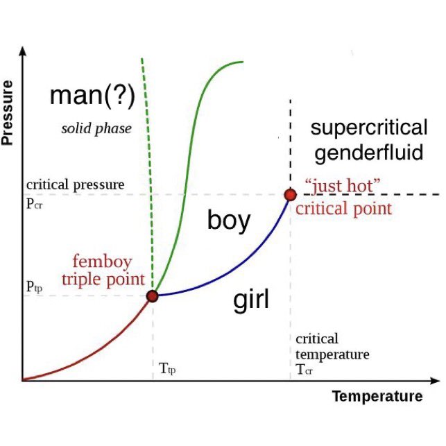 pannekook's tweet photo. a girltwink is a supercooled state where a gender remains boy under girl conditions below what is usually possible due to a lack of nucleation sites. a shock to the system will cause rapid crystallization into a face-center cubic girl structure. see fig. 1 https://t.co/qdfnxBcvZY