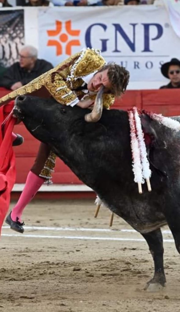 expresoqro's tweet photo. “El Payo” es cornado durante corrida en la Plaza de Toros la Luz en León, Guanajuato. https://t.co/ztqHyxEsHC