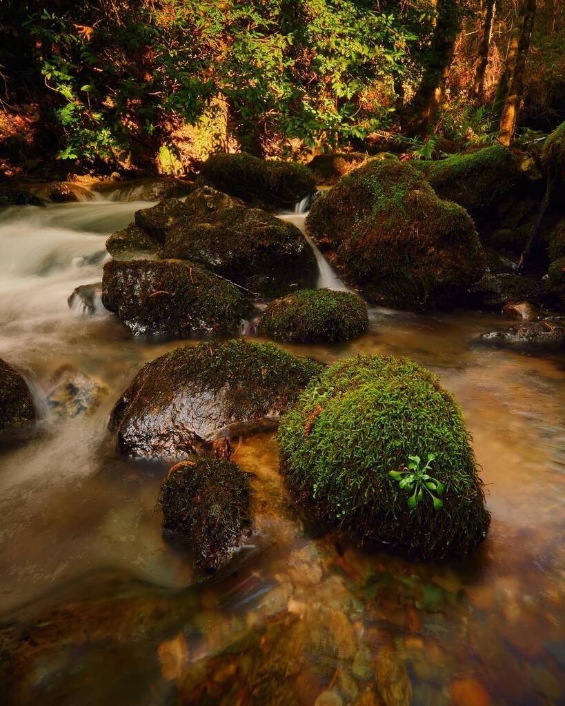 Another beautiful spot - NorCal 

#longexposure #wideanglelens #landscapephotography #pnw #pnwonderland #pnwdiscovered #creek #flowingwater #goldenhour instagr.am/p/CojBU8grUlU/