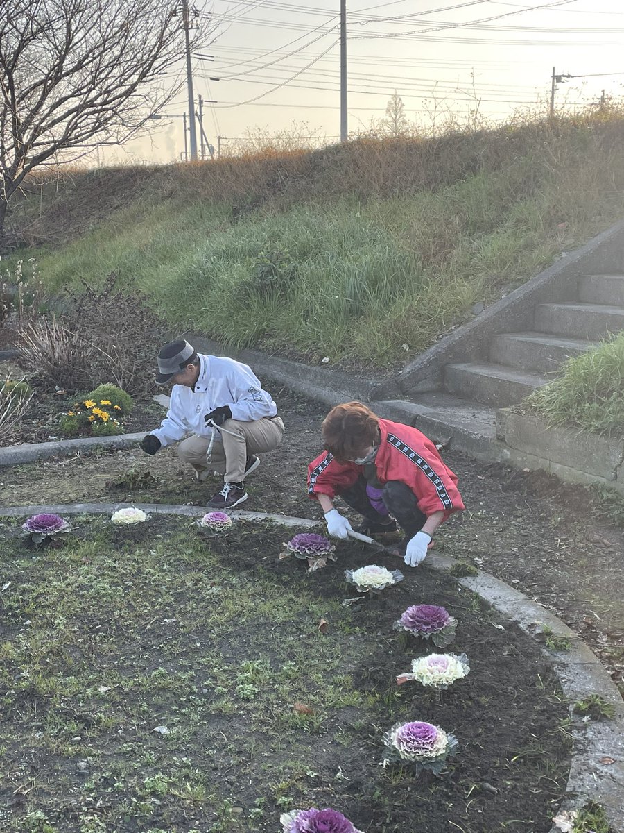 doi_sci's tweet photo. 今朝は定例の女性部花壇清掃でした😊花壇の中に小さな草がビッシリ生えていてどうなることかと思いましたが頼もしい助っ人がご協力くださり綺麗になりました✨加地ふとんさんが手入れしてくれたところは草一本もなくそれはそれは見事でした👏賑やかな花壇に生まれ変わりましたので、是非ご覧くださいね https://t.co/wSdxVlCZuz