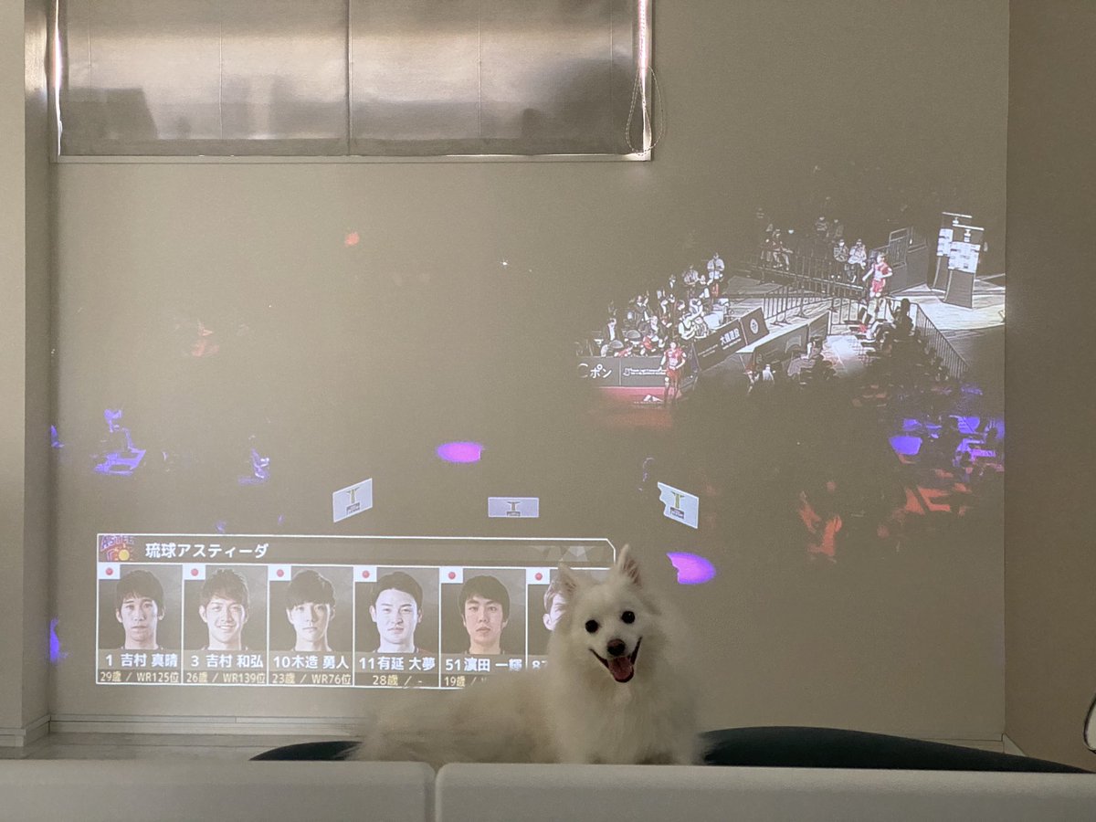 aoi_miss4's tweet image. スタンバイOK！

#tリーグ
#松平健太