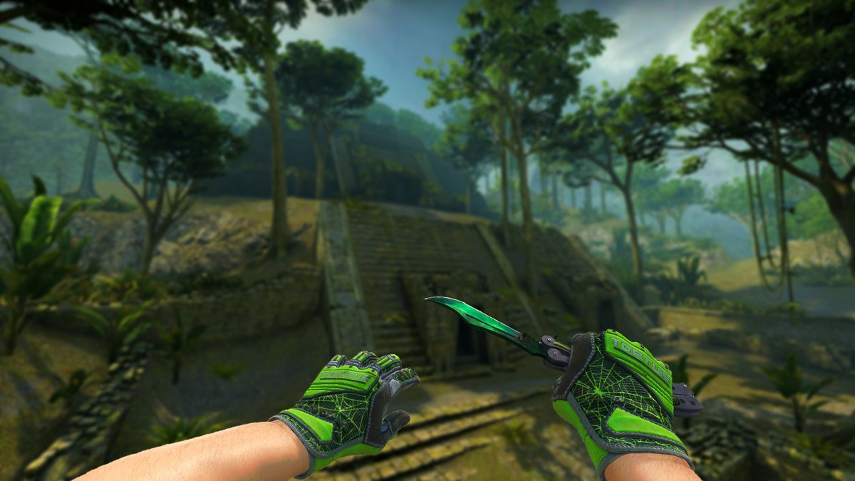 1Umbral's tweet photo. New Combo:🍀
Butterfly Gamma PH2
Emerald web with webs https://t.co/Yd8dZYJS53