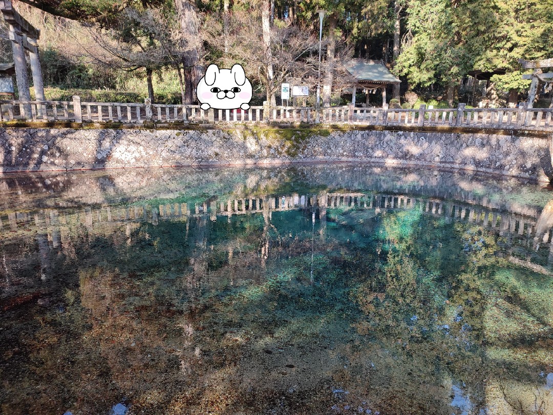 csar_koji's tweet photo. #秋吉台
#弁天池
#長門湯本温泉
#ヨッシースタンプ https://t.co/x8zPVvSAeL
