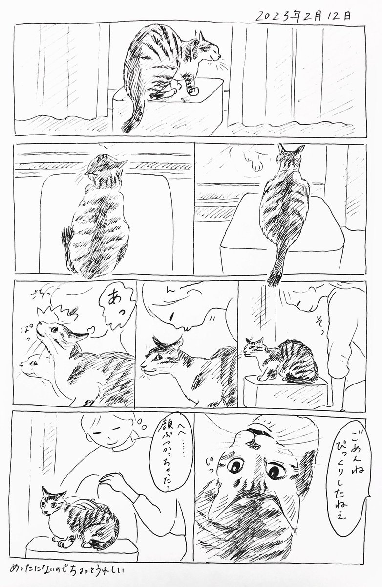 2023/2/12のぎんちゃん #今日のぎんちゃん 