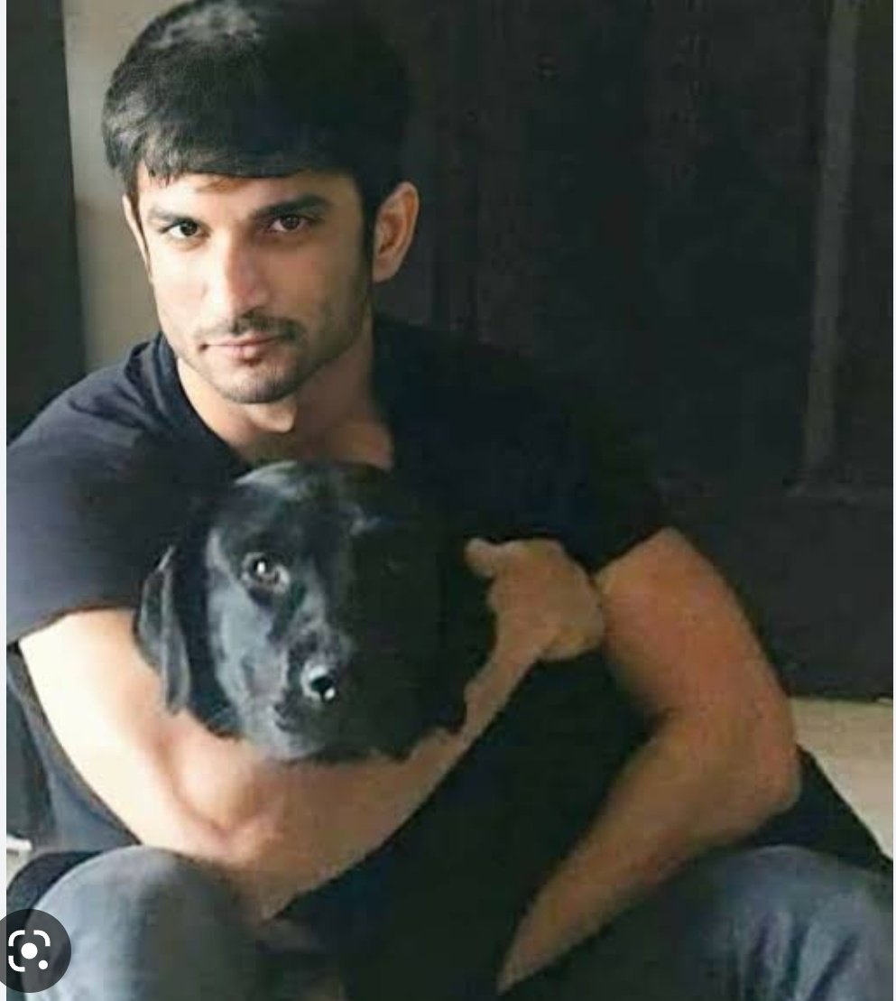 <a href="/withoutthemind/">Priyanka Singh</a> Good Morning Di 🙏
Sushant Love For Fudge💖🤗