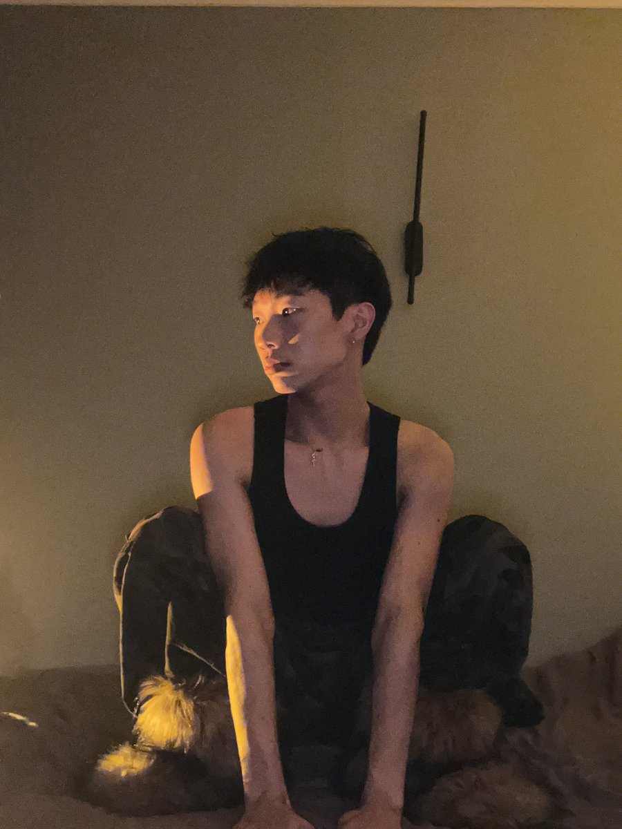 Rovebeetle (@rovebeetle0000) on Twitter photo 