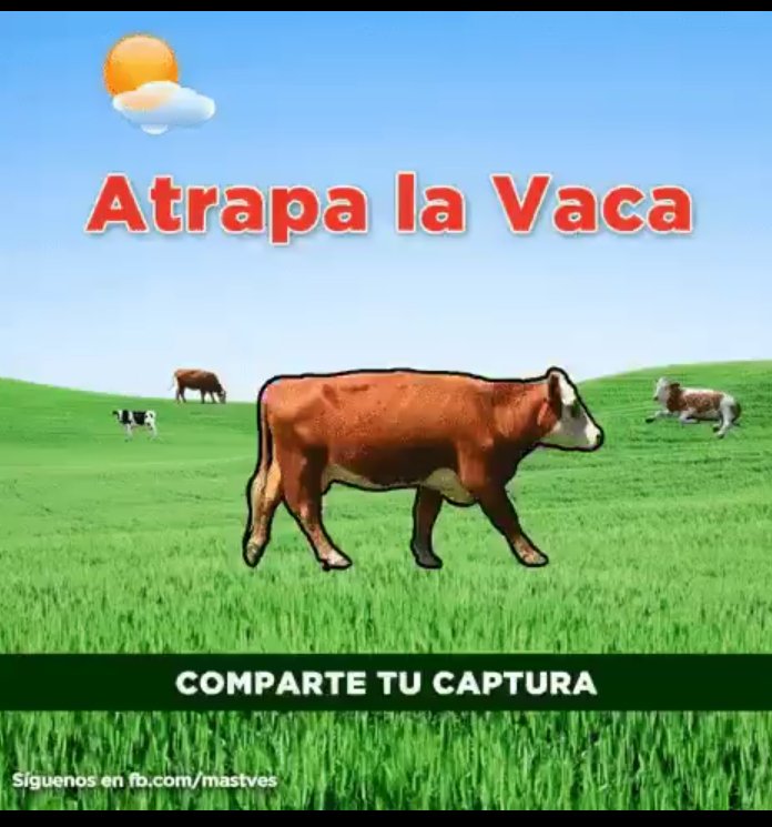tecni_digital's tweet photo. @momentoviral Fácil reto cumplido https://t.co/J4Jkr4sM5m