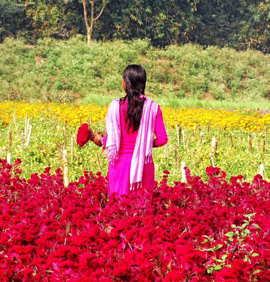 Matching #nature #NaturePhotography #Photo_Folio #PHOTOS #Twitter #TwitterBlue #goodmorning #GoodVibes #ValentinesDay #SundayMorning @NatGeo @mvraoforindia @admired_art @inaturalist @Color @BeautyNature___ @TwitterCreators @Twitter @TwitterIndia @TwitterMoments @DrRJWarren