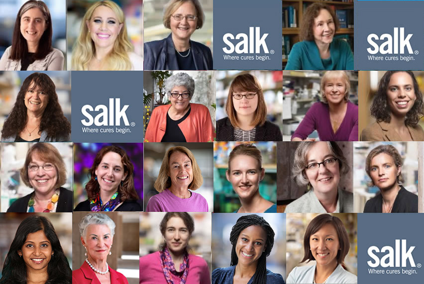 On International Day Of Women And Girls In Science, we celebrate all the Salk women faculty and Emerita faculty along with the next generation who are leading change. It is a privilege to support your work!

#InternationalDayOfWomenAndGirlsInScience #WomenInScience #February11