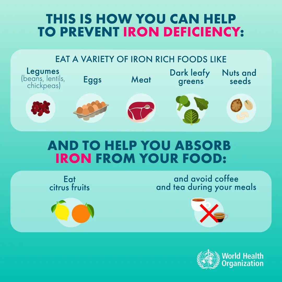 Masroor__Jahan's tweet photo. ✅ Iron deficiency is the most common and widespread nutritional disorder in the world. Here is how you can prevent iron deficiency👇👇 #irondeficiency #Food #WHO #Health #healthcare #greenleafy #TrendingNow #Trending #jahansnutrition #HealthyLiving https://t.co/9fBTrBIVpA