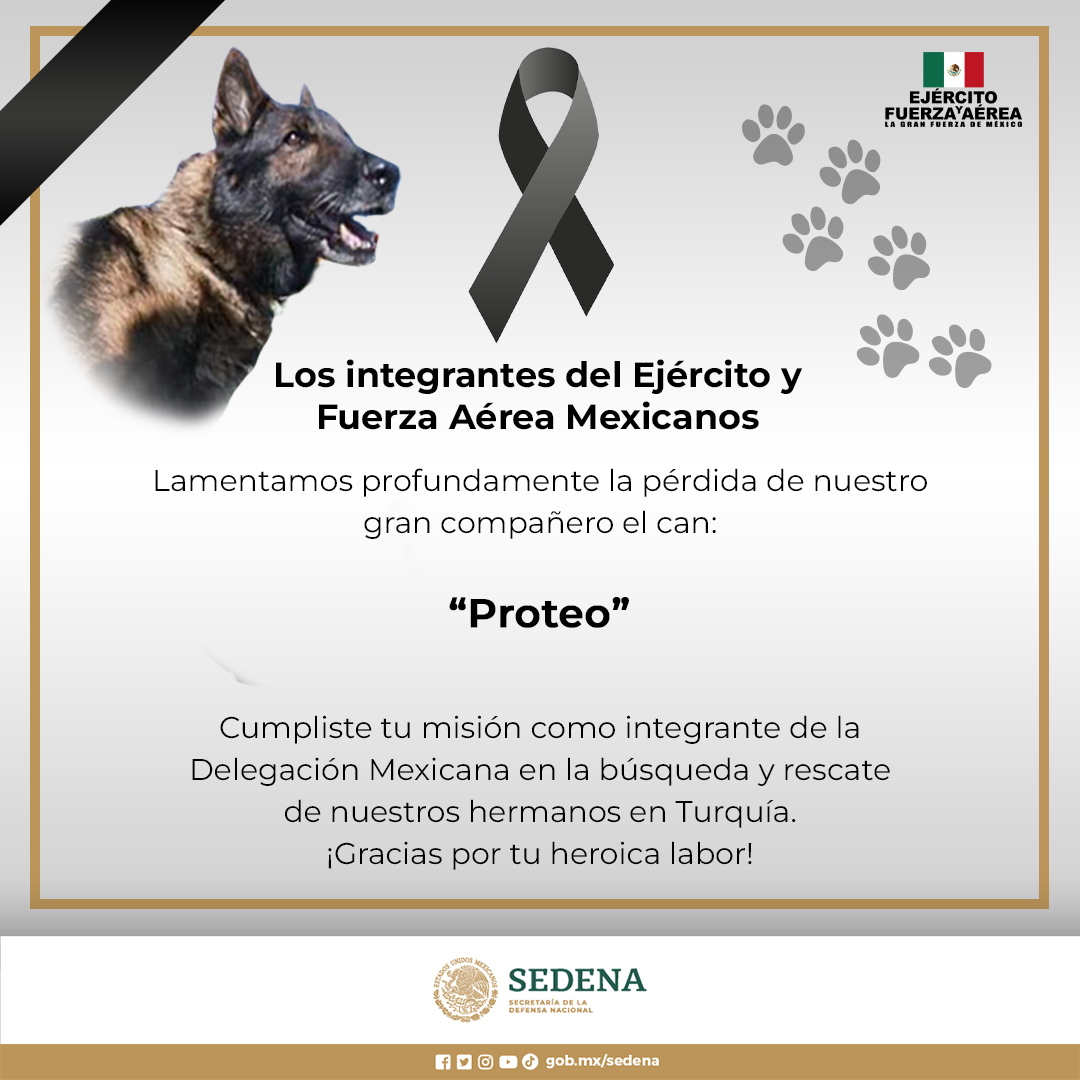 Amigos Pro Animal AC® (@AmigosProAnimal) / Twitter Amigos Pro Animal AC® (@AmigosProAnimal) / Twitter