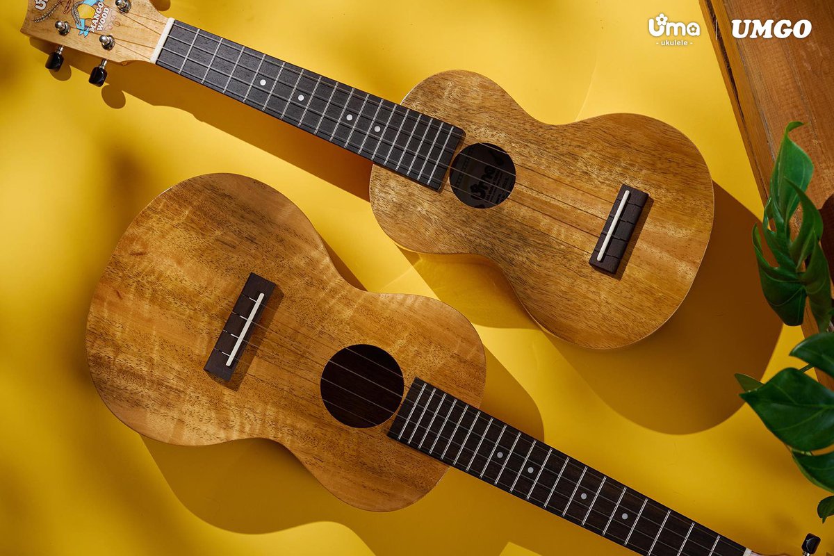 Aloha, Uma’s new model of 2023 is coming, guess what the wood is, see you at the comment section 😉

#ukulelecover #umaukulele #ukulele #mango #mangowood #ウクレレ #umaウクレレ #マンゴー

umaukulele.com