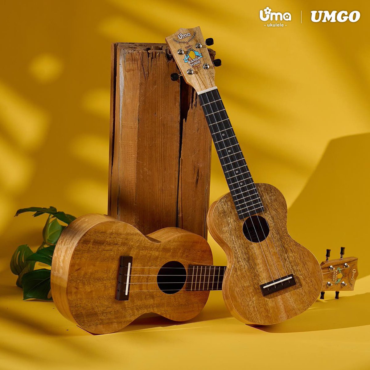 Uma ukulele tweet media