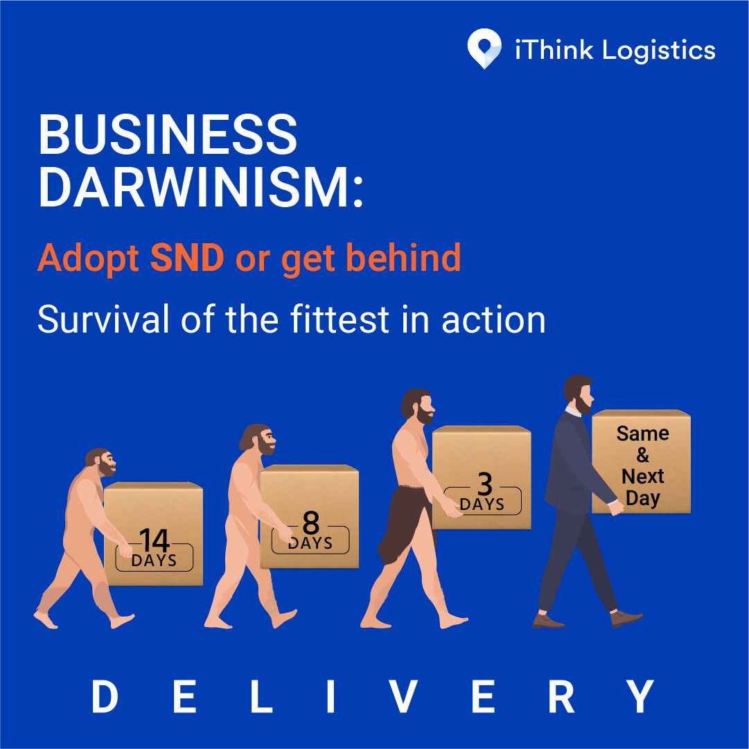 iThinkLogistic's tweet image. Time is of the essence, and so is SND! Stay ahead of the curve and offer Same and Next Day Delivery options to your customers. Convenience and speed, all in one. 💨📦

#DarwinDay #CharlesDarwin #DarwinEvolution #SND #Samedaydelivery #Nextdaydelivery #iThinklogistics