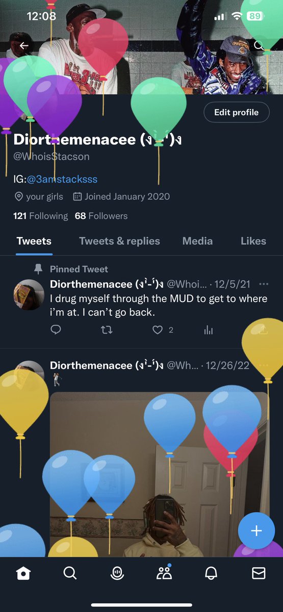 Diorthemenacee (ง'̀-'́)ง tweet media
