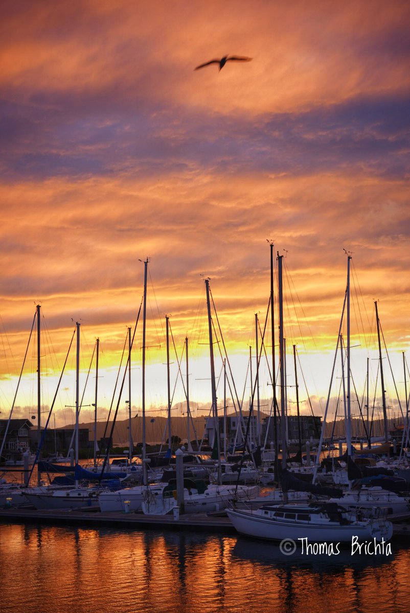 Tombr7's tweet photo. @admired_art Sunset at Brickyard Cove Marina. https://t.co/8tJXHq5nSJ
