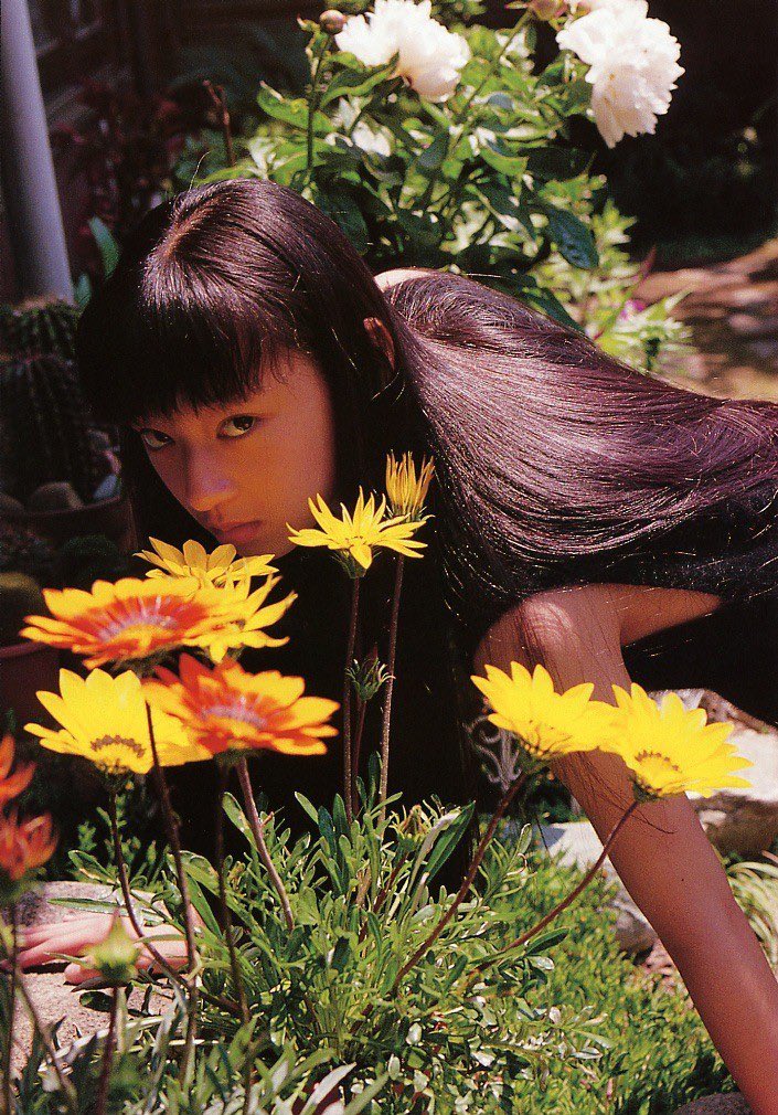 Pollen (@pppollen) on Twitter photo 