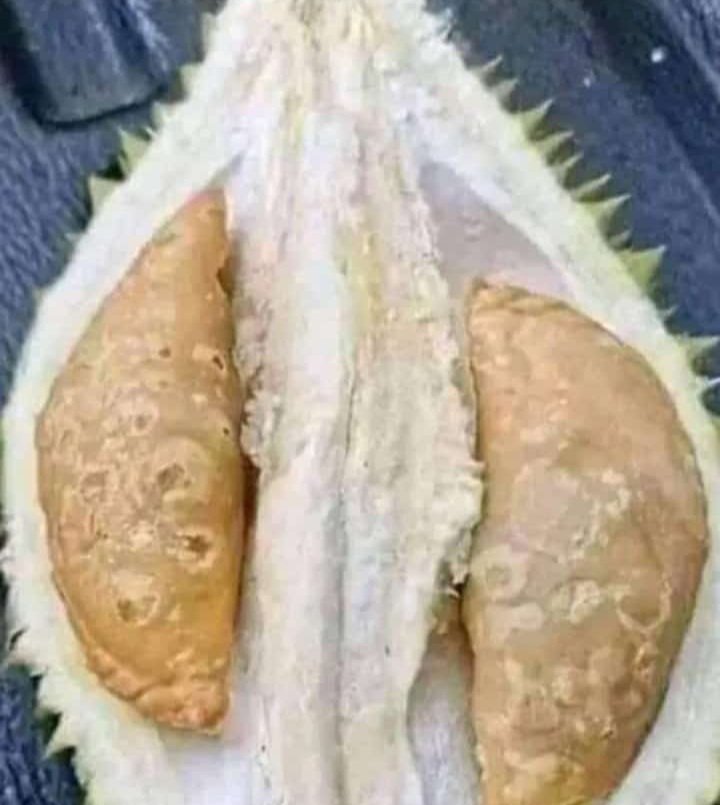 Abis mkn siang jgn lupa mkn buah dulu???

Dulen Monyong 🤣🤣🤣