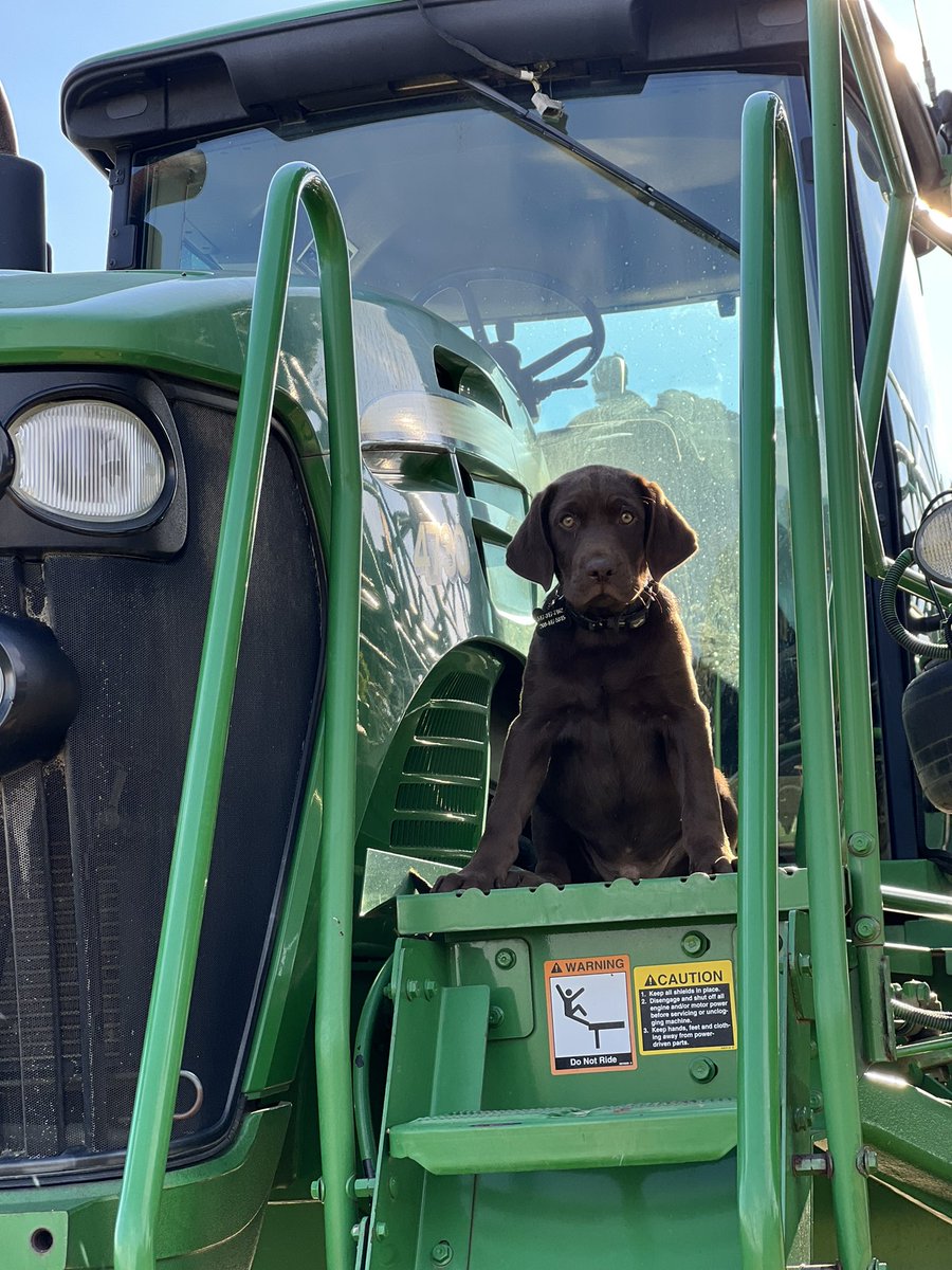 Huntir Wilson tweet media