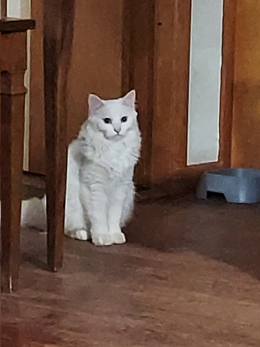 Babette 💟 tweet media