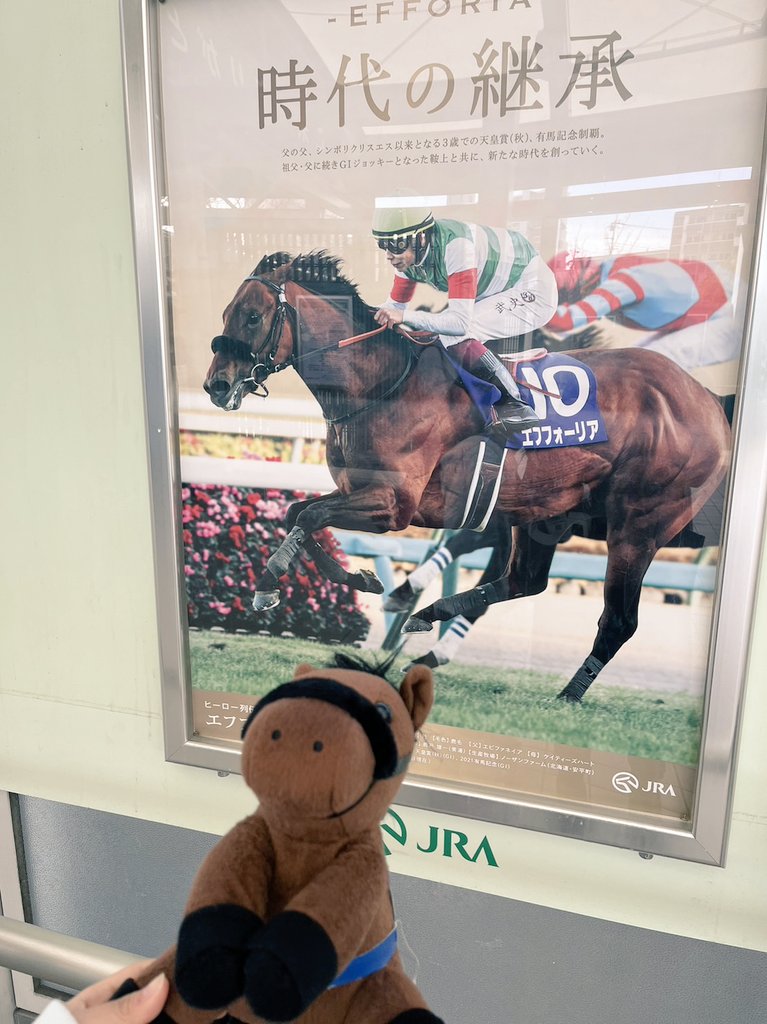 umayanomagoya's tweet image. 阪神競馬場なう‼️
 #エフフォーリア 
 #京都記念2023